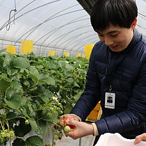 주간보호센터 야외나들이 딸기체험농장 방문