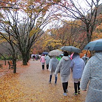 2015 직원연수 함께하는 기흥, 하나된 우리!