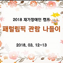 2018년 재가장애인 캠프 - 패럴림픽 관람 나들이